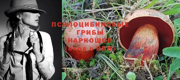 ПСИЛОЦИБИНОВЫЕ ГРИБЫ Горнозаводск