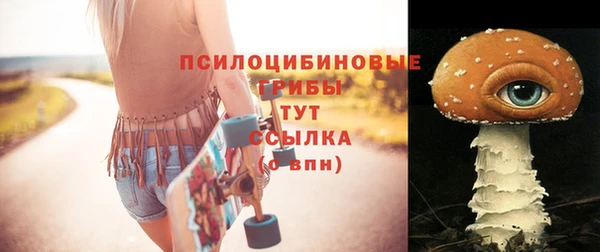 ПСИЛОЦИБИНОВЫЕ ГРИБЫ Горнозаводск