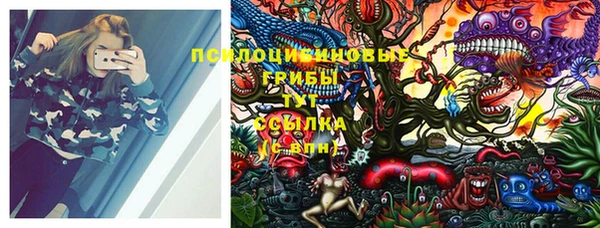 ПСИЛОЦИБИНОВЫЕ ГРИБЫ Горнозаводск