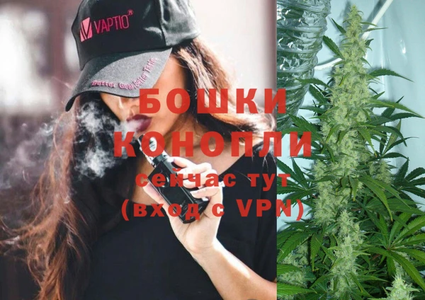 ПСИЛОЦИБИНОВЫЕ ГРИБЫ Горнозаводск