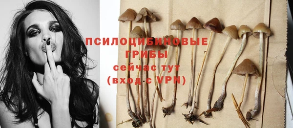 прущая мука Усмань