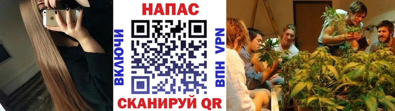 даркнет официальный сайт  Мещовск  Шишки марихуана ГИДРОПОН 
